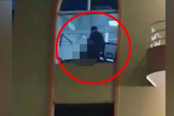 Через какой браузер заходить на кракен